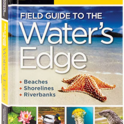 Field Guide to Water's Edge: National Geographic Field