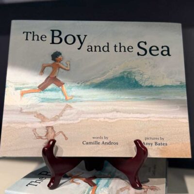 the boy and the sea